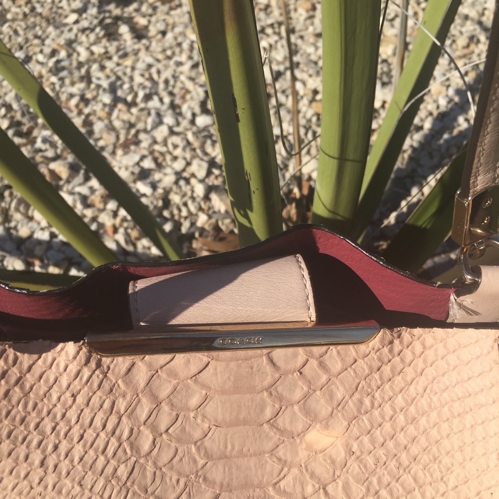 Coach Madison Python Embossed Bonded Tote Bag - image 7